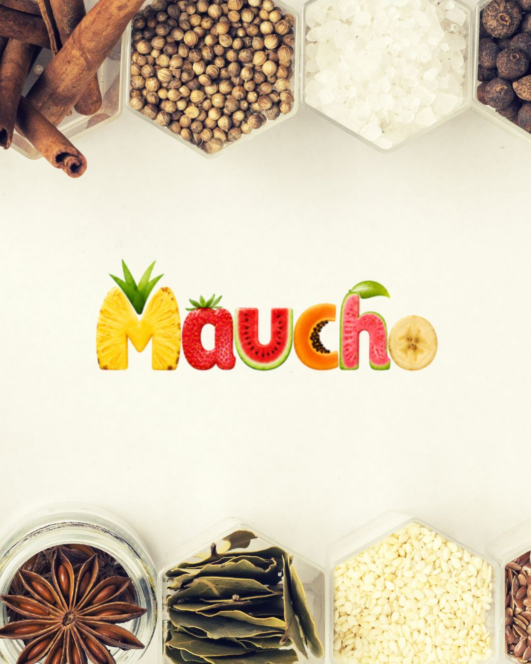 Maucho Corporate Profile & Catalog Cover