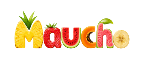 Maucho International logo